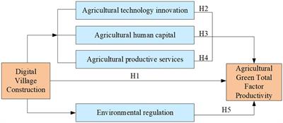 Impacts and mechanisms of digital village construction on agricultural green total factor productivity